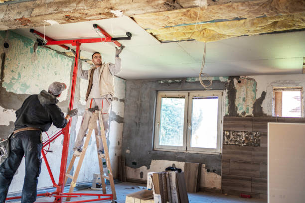 Best Cellulose Insulation in Salinas, CA