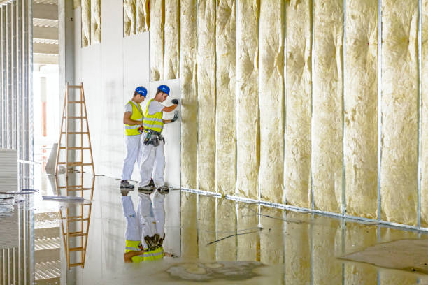 Professional Insulation Contractor in Salinas, CA
